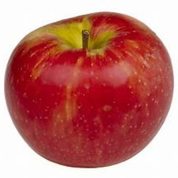 Honeycrisp Apple Honeycrisp Apple