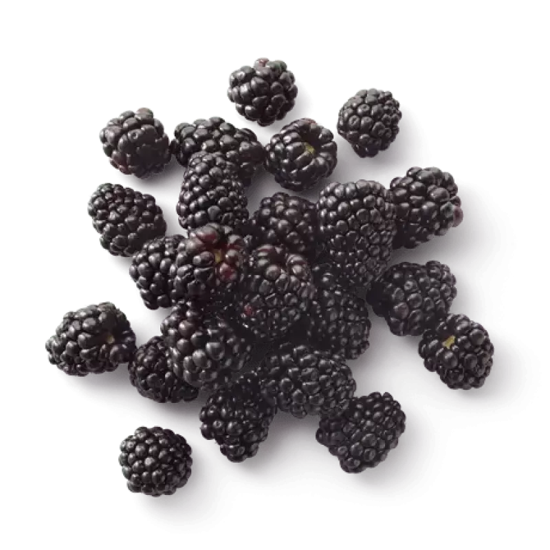 Cascadian Farm Organic Blackberries Cascadian Farm Organic Blackberries
