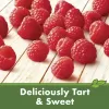 Cascadian Farm Organic Red Raspberries