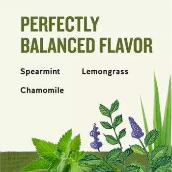 Celestial Sleepytime Herbal Tea Celestial Sleepytime Herbal Tea