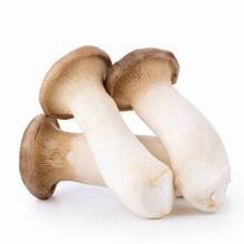 King Mushroom 1LB King Mushroom 1LB