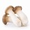 King Mushroom 1LB