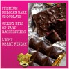 Chocolove Raspberries in Dark Chocolate