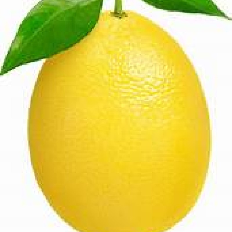 Lemon Lemon