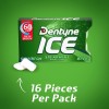Dentyne Ice Spearmint Dentyne Ice Spearmint