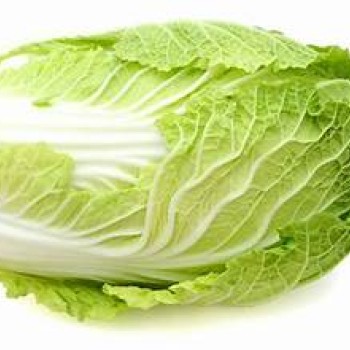 Nappa Cabbage 1LB Nappa Cabbage 1LB