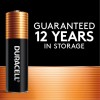 Duracell Power Boost AA (2-Pack)