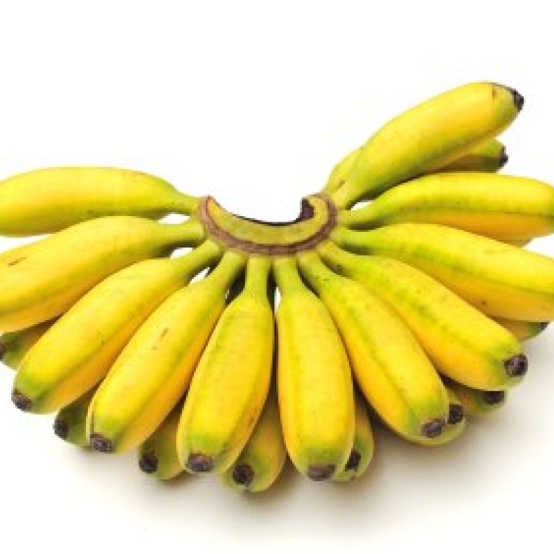 Baby Banana 1LB Baby Banana 1LB