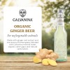 Galvanina Ginger Beer Galvanina Ginger Beer