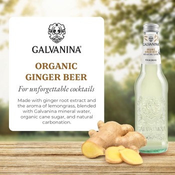 Galvanina Ginger Beer Galvanina Ginger Beer