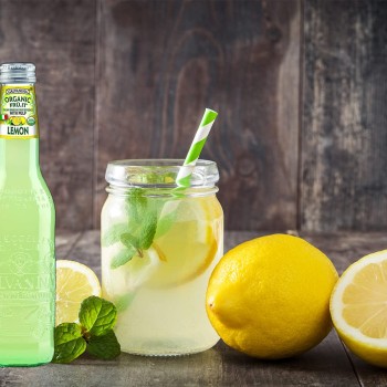 Galvanina Lemon Sparkling Beverage Galvanina Lemon Sparkling Beverage