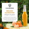 Galvanina Organic Clementine With Pulp