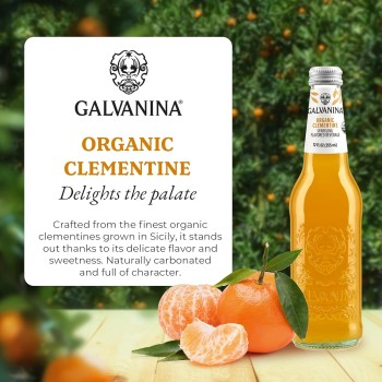 Galvanina Organic Clementine With Pulp