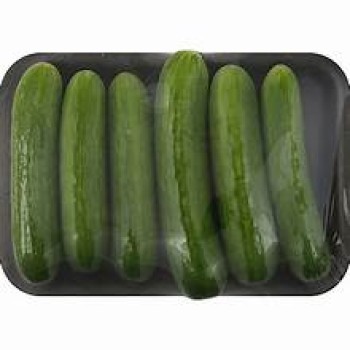Persian Cucumber Persian Cucumber