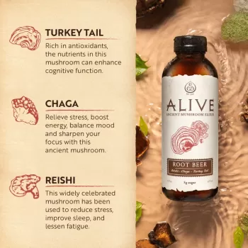 Gt's Alive Root Beer Gt's Alive Root Beer