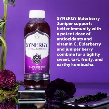 Gt's Kombucha Elderberry Juniper Gt's Kombucha Elderberry Juniper