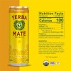 Guayaki Yerba Mate Classic Gold Sparkling Guayaki Yerba Mate Classic Gold Sparkling