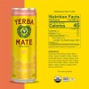 Guayaki Yerba Mate Grapefruit Ginger Sparkling Guayaki Yerba Mate Grapefruit Ginger Sparkling