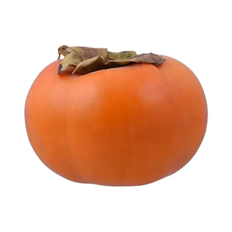 Persimmon Persimmon