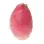 Cactus Pear