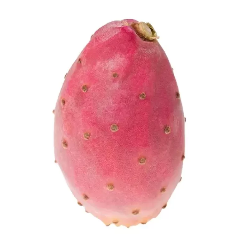 Cactus Pear Cactus Pear
