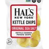 Hal's Kettle Chips Sea Salt 2oz