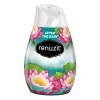Renuzit Air Freshener After the Rain Renuzit Air Freshener After the Rain