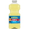 Planters 100% Pure Peanut Oil