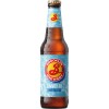 Brooklyn Summer Ale Brooklyn Summer Ale