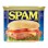 SPAM CLASSIC