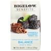 Bigelow Benefits Balance