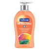 Softsoap Hand Soap Antibacterial Crisp Clean