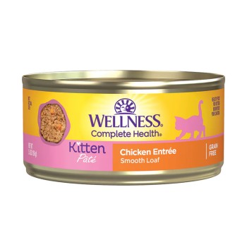 Wellness Kitten Pate Chicken Entree Wellness Kitten Pate Chicken Entree