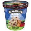 Ben & Jerry's Netflix & Chilled Peanut Butter Ice Cream