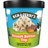 Ben & Jerry's Peanut Butter Cup Ice Cream