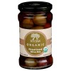 Divina Organic Pitted Greek Olive Mix Divina Organic Pitted Greek Olive Mix