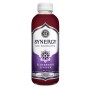 Gt's Kombucha Elderberry Juniper Gt's Kombucha Elderberry Juniper