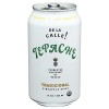 De La Calle Tepache Pineapple Spice De La Calle Tepache Pineapple Spice