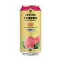 Flying Ambers Hard Kombucha Guava Citra Flying Ambers Hard Kombucha Guava Citra