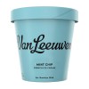 Van Leeuwen Mint Chip Ice Cream