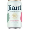 Jiant Hard Kombucha Gauvamente Jiant Hard Kombucha Gauvamente