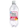Hal’s NY Seltzer Fruit Punch Hal’s NY Seltzer Fruit Punch