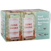 JuneShine Blood Orange Mint Hard Kombucha JuneShine Blood Orange Mint Hard Kombucha