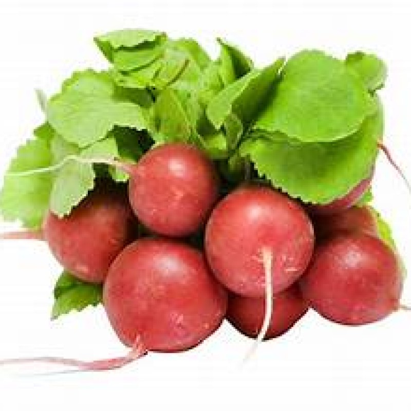 Radish Bunch Radish Bunch