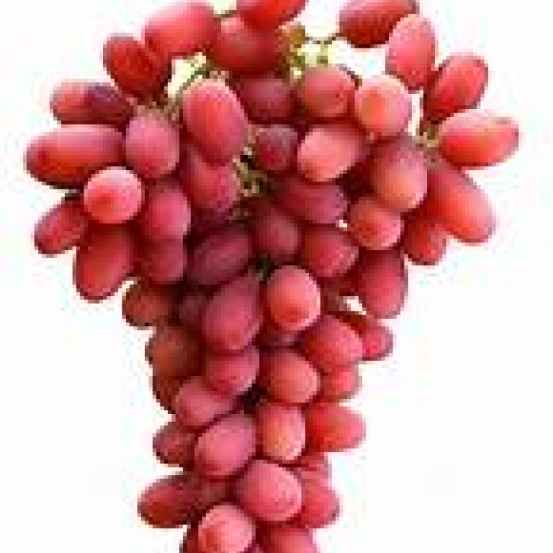 Red Grapes 1lb Red Grapes 1lb