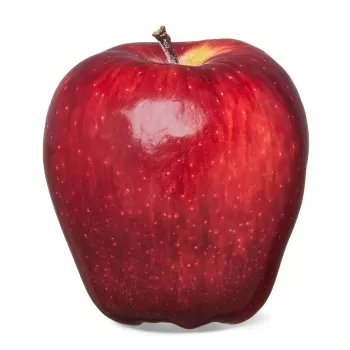 Red Delicious Apple Red Delicious Apple