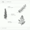 A La Maison Soap Liquid Soap Rosemary Mint A La Maison Soap Liquid Soap Rosemary Mint