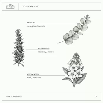 A La Maison Soap Liquid Soap Rosemary Mint