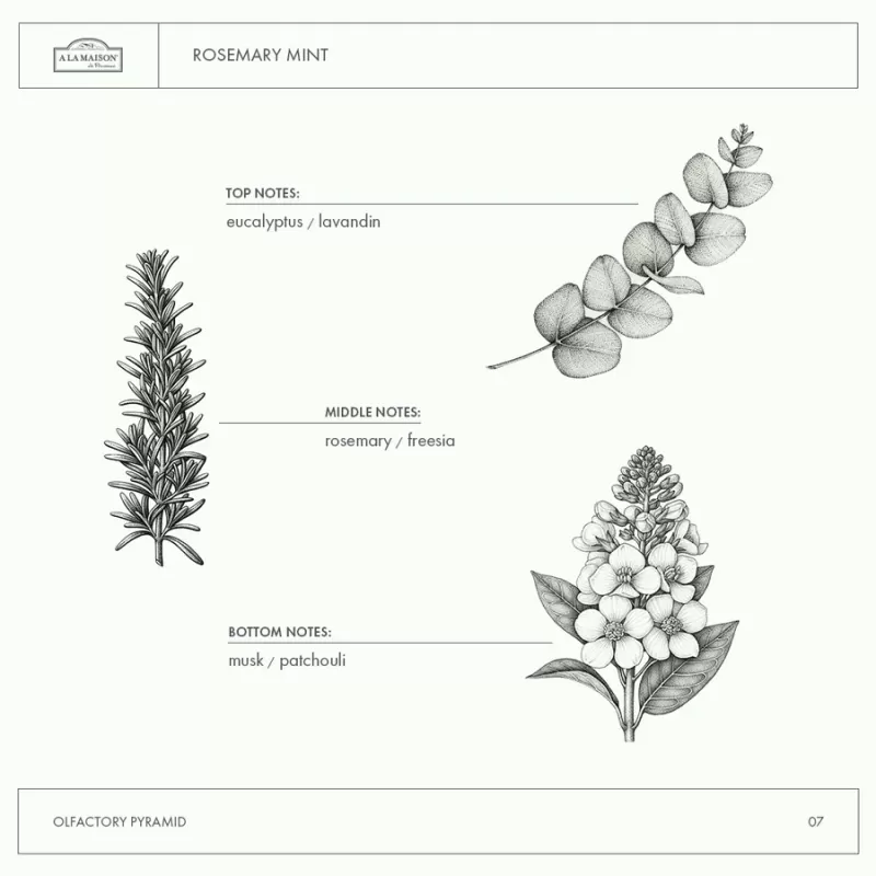 A La Maison Soap Liquid Soap Rosemary Mint A La Maison Soap Liquid Soap Rosemary Mint