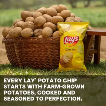 Lay's Classic Potato Chips 8oz